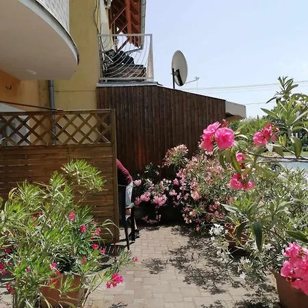 Tarr-timea Keszthely