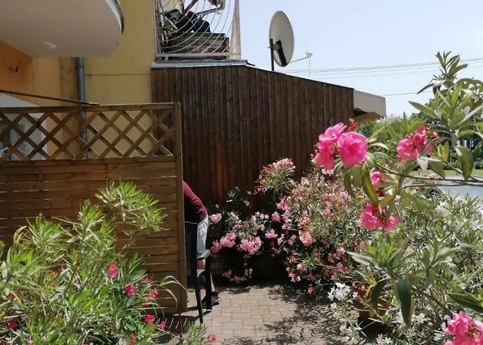 Tarr-timea Keszthely